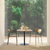 Silla Pecan madera - PUNT · vista 2
